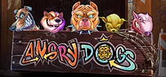 Angry Dogs