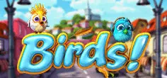 Birds