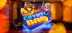 Crypto Bro