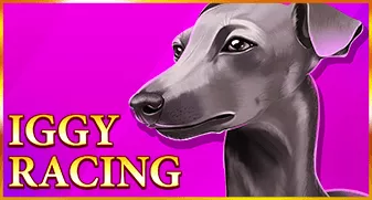 Iggy Racing