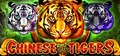 Chinese Tigers